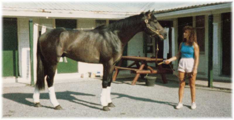 Renee with a young racehorse