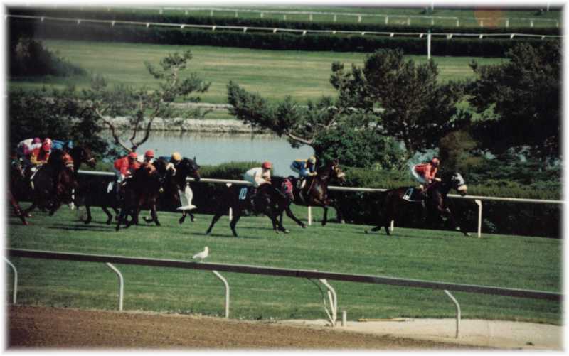 Stakes Race- Woodbine